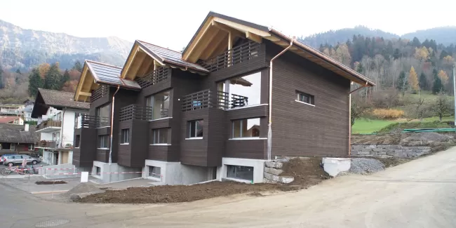 Reiheneinfamilienhaus konsequent in Holz, gesundes Innenraumklima durch Abschirmung von Elektrosmog. Materialien wie z.B. Radiatoren aus Gebrauchtwarenhandel