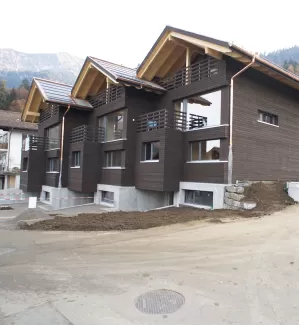 Reiheneinfamilienhaus konsequent in Holz, gesundes Innenraumklima durch Abschirmung von Elektrosmog. Materialien wie z.B. Radiatoren aus Gebrauchtwarenhandel