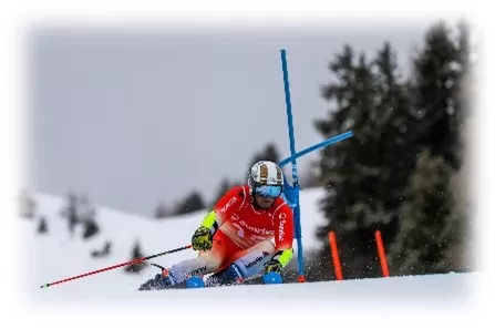 Wir als Truberholz unterstützen Fabian Spring bei seinem Ski Kariere Leiter