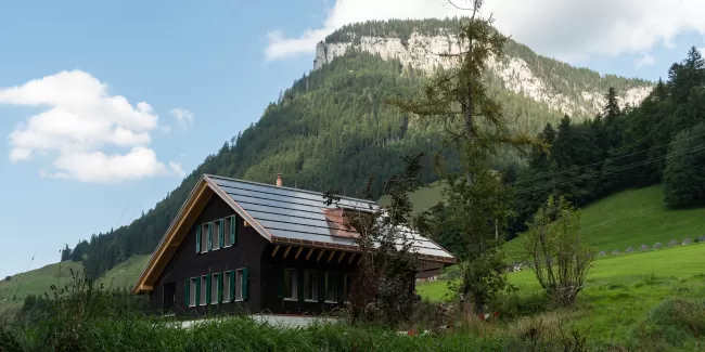 Ein neu gebautes Haus im grünen mit einer dunklen Fassade mit grünen Fensterläden, schalousien.