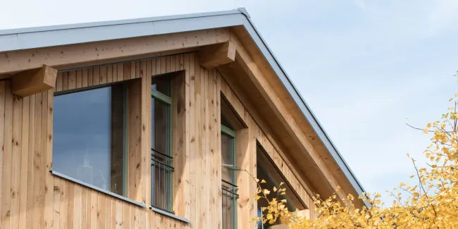 Aussenansicht eines mehrgeschossigen Wohnhauses in moderner Holzbauweise mit senkrechter Holzfassade und grossen Fenstern. Vor dem Gebäude steht ein Baum mit gelben Herbstblättern, der Teile der Fassade überragt. Der Eingangsbereich und der Garten mit Pflanzen und Pflasterflächen sind im Vordergrund sichtbar, bei hellem Tageslicht.