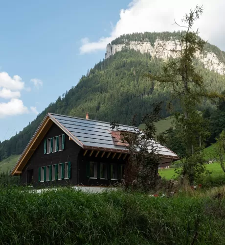 Ein neu gebautes Haus im grünen mit einer dunklen Fassade mit grünen Fensterläden, schalousien.