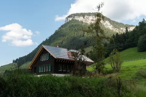 Ein neu gebautes Haus im grünen mit einer dunklen Fassade mit grünen Fensterläden, schalousien.